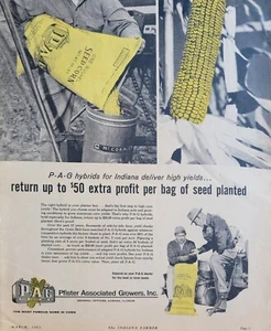 Pfister Associated Growers Hybrid Corn Seeds Vintage 1961 Agricultural Ad - Picture 1 of 1