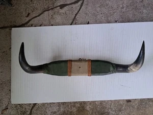 CUERNOS DE TORO MONTADOS DE 22 PULGADAS ESTILO WESTERN VINTAGE - Imagen 1 de 6