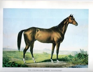 "The Celebrated Horse "Lexington" by J.Maurer CURRIER and IVES 19x14 - Picture 1 of 1