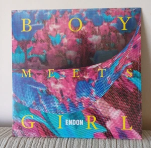 Endon - Boy Meets Girl - Limited Pink Vinyl LP - New & Sealed - Picture 1 of 3