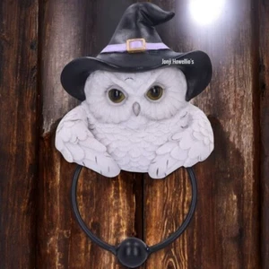 Snowy Owl Door Knocker Magic Spells Witches Hat White Barn Owl Gothic Home Decor - Picture 1 of 7