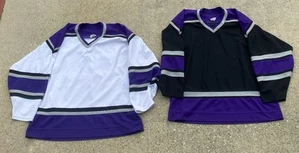 Vintage CCM NHL Los Angeles LA Kings Blank Hockey Jersey Men’s Large - Picture 1 of 6