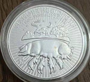 2019 Royal Mint Lunar Year Of The Pig .999 1oz Fine Silver £2 Pound Coin - Picture 1 of 2