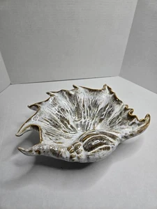 Keramik Muschel Herzstück Schlüssel Schale Maritim Strand Haus Schmuck Schale - Bild 1 von 7