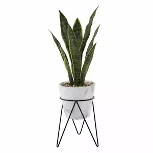 Flora Bunda Artificial 1.75 feet H Snake Plant in 8 inch Marble Finish Pot Stand - Picture 1 of 6