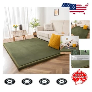 Soft Coral Velvet Area Rug with Non-Slip Backing - 59"x78" Living Room Essential - Picture 1 of 10