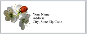 Personalized Address Labels Ladybug on flower (Bx 164) - Picture 1 of 3