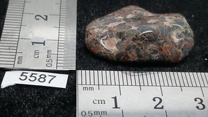 JASPE LEOPARD pierre roulee TOP mineraux lithotherapie reiki collection jasper - Imagen 1 de 1