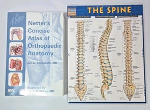 Netter's Concise Atlas of Orthopaedic Anatomy & Spine Visual Study Guide - Bild 1 von 7