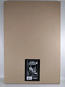 Jose Gonzalez VAMPIRELLA Art Edition Large 21x15" Dynamite HC New W Carton - Picture 1 of 13