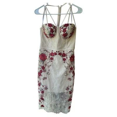 Bebe Blush Rosa Rojo Floral Encaje Bustier Top Tirantes Vestido Midi Talla 8 Sexy Foto 1 de 4