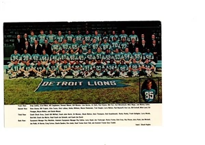 VINTAGE ORIGINAL 1971 DETROIT LIONS 6x9 TEAM PHOTO POST CARD LANDRY BARNEY OWENS - Picture 1 of 2
