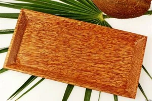 Vietnam Kokosholz Tablet Kong 24 x 12 cm coco wood tablet BIO ÖKO fairtrade - Bild 1 von 5