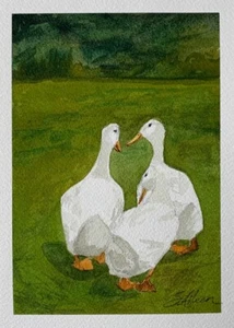 Watercolor Painting Barnyard Geese Ducks "Lola, Mildred, & Mable" Signed 5x7 - Picture 1 of 3