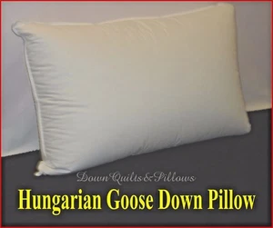 1 STANDARD PILLOW FIRM - 95% WHITE HUNGARIAN GOOSE DOWN - EUROPEAN QUALITY - Picture 1 of 2