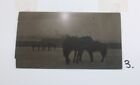 Ww1 Era Aef Russo Japanese War Real Photo American Expeditionary Force Russia 3