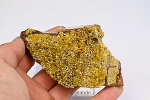 Amas de Mimetite Hat Yai Thailand 262g mineral de collection - Foto 1 di 6