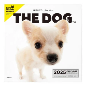 2025 The Dog Calendar Chihuahua - Picture 1 of 4