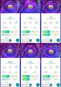 Solosis XXL | For exhibitions | Tr-de Go✨ - Picture 1 of 2