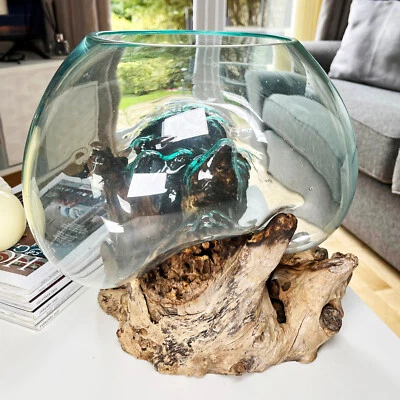 Molten Glass 25cm Bowl On Teak Root Stand Large Rustic Wood Ornament Sculpture - Image 1 of 4