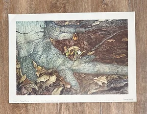 Poster artistico 'Bellezza di Primavera' - (Andrew Wyeth) - Foto 1 di 6