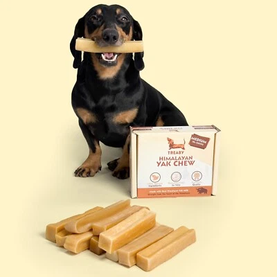 TREABY Himalayan Yak Dog Chews - Box of 10 - Natural Long-Lasting Chews - Small to XL