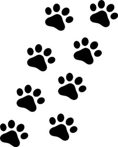 8 PEGATINAS/CALCOMANÍAS ESTAMPADAS DE PATA - GATO/PERRO/COCHE/FURGONETA/PISO. - Imagen 1 de 3