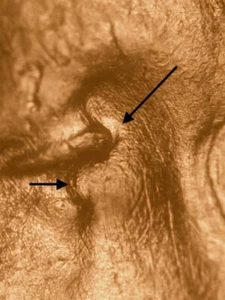 1939 P DDO-?? Unlisted Doubled Die Obverse Gem BU Uncirculated Red Lincoln Cent - Picture 1 of 3