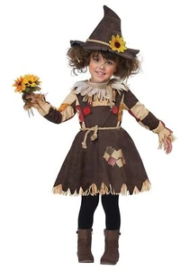 Pumpkin Patch Scarecrow Girl Cute Fancy Dress Halloween Toddler Child Costume - Picture 1 of 6