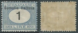 1926 SOMALIA SEGNATASSE 1 LIRA MNH ** - RA13-5 - Imagen 1 de 1