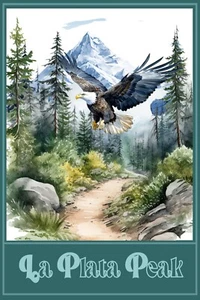 La Plata Peak American Bald Eagle Mountains Trees Wall Art 16 x 24 Travel Poster - Picture 1 of 1