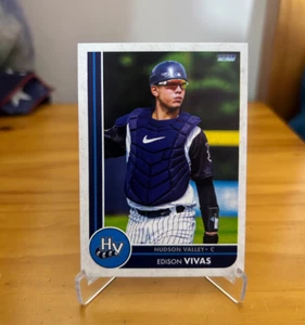 2025 Hudson Valley Renegades Edison Vivas New York Yankees - Picture 1 of 1