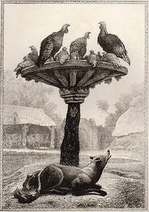 STARKES WASSER / Fables de la Fontaine 1883 / DER FUCHS UND DIE HÜHNER AUS INDIEN - Bild 1 von 1