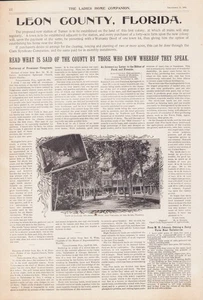 1895 LEON COUNTY FLORIDA LAND PROMOTION AD SHOWS LANARK INN 16x11 Read P58 - Picture 1 of 3
