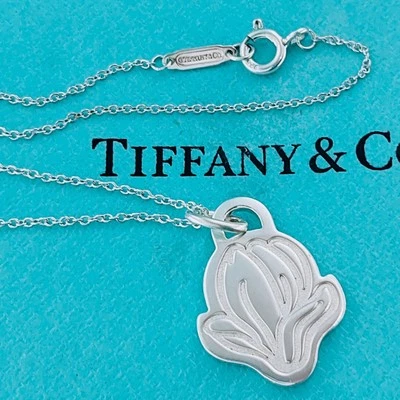 Collana con ciondolo Tiffany & Co. 2019 Go Woman 15,95" argento sterling 925 - Immagine 1 di 4