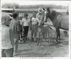 1961 Press Photo Boys view horse and pony at Chippewa Ranch camp in Michigan