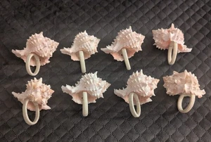 Rosa Murex Muschel Serviettenringe 3,25" -3,75" 8er Set - Bild 1 von 17