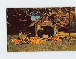 Postcard Fall Harvest Vermont USA - Picture 1 of 2
