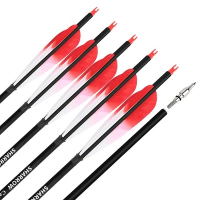 28" 30" 31" Carbon Arrows SP500 Archery 5" Feather Recurve Compound Bow Hunting - Image 1 of 4