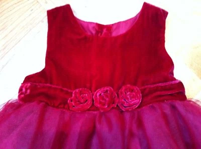 NWT Gymboree Celebrations Rosette Tulle Velvet Dress Baby Girls 18-24 months - Image 1 of 4