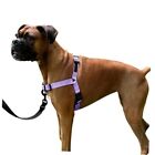  Dream Walk No-Pull Dog Harness- Adjustable, Comfortable, Easy Medium Icy Lilac