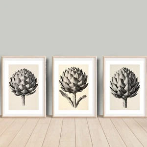 Set of 3 Artichoke Art Prints - Floral Wall Art Poster, A4, Unframed - Picture 1 of 4
