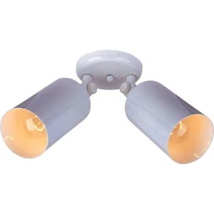 Maxim 92011 White Spots 5"W 2-Light Adjustable Wall Or Ceiling Light - Picture 1 of 1