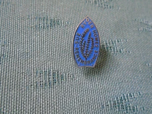 OLD SUE RYDER HOMES REMEMBRANCE ENAMEL CHARITY PIN BADGE - Picture 1 of 2