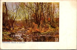 Cartolina BERKSHIRE BROOK in autunno c1909 - Foto 1 di 2