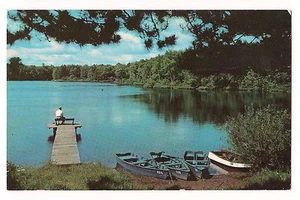 Single Lonely MAN On Bench, On Pier at Lake ROWBOATS in Water WISCONSIN Postcard - Picture 1 of 2