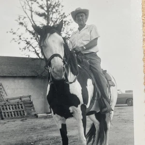 Vintage Cowboy Foto Mann im Anzug mit Pferd & Sattel "Cowboy" 1956 - Colo. -- Y1 - Bild 1 von 5