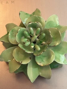 Kleine grüne Sukkulente aus Keramik - Echeveria - Bild 1 von 8