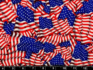 Tina Scrap 9"x21" Red Blue American Flag God Stripe Star Military Cotton Fabric - Picture 1 of 1