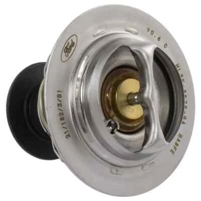 Termostato refrigerante motor Ford genuino HL3Z-8575-B Foto 1 de 4